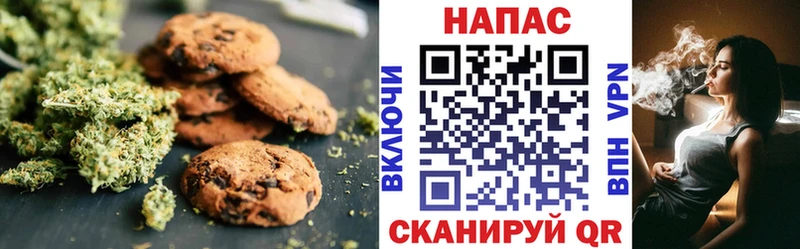 Купить закладки  Лениногорск  Canna-Cookies конопля 